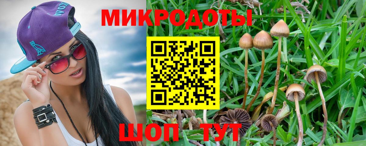 Псилоцибиновые грибы мицелий Воткинск