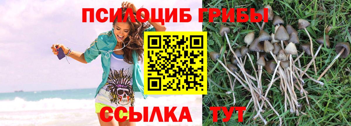 Воткинск  Галлюциногенные грибы мухоморы  как найти закладки  Вход с VPN 